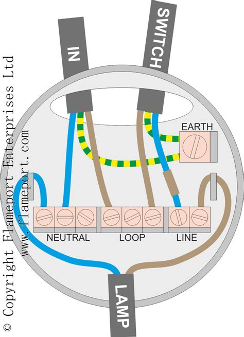 ceiling rose junction box|ceiling lighting wiring rose.